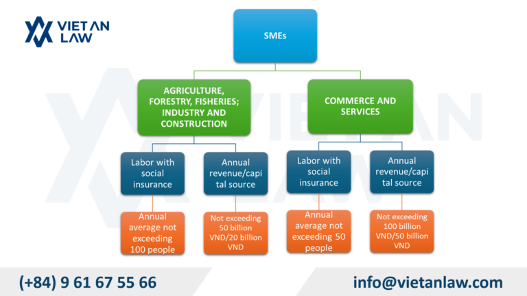 Ninh Binh Company Formation Support for SMEs in Vietnam Criteria for determining SMEs