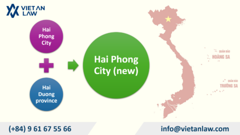How to Form a Company in Hai Phong City
