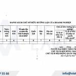 Ultimate Beneficial Owner Declaration Form for Businesses in Vietnam