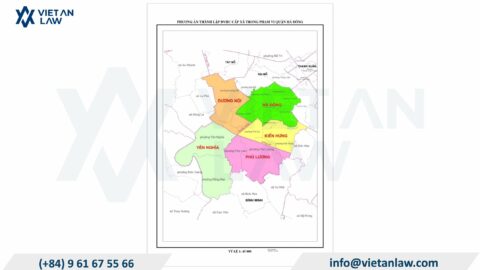 Opening a Company in the New Kien Hung Ward