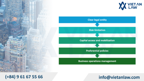 Company Establishment in the Cau Giay Ward in Vietnam