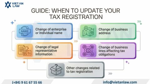 How to update tax registration information at Ho Chi Minh City tax department