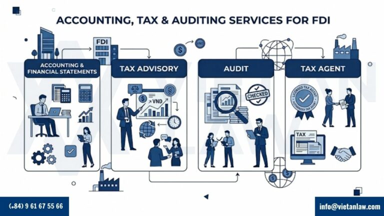 Tax, Payroll, Accounting, and Auditing Services for FDI Enterprises