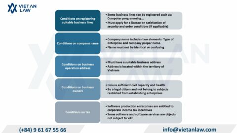 Set up a software company in Vietnam