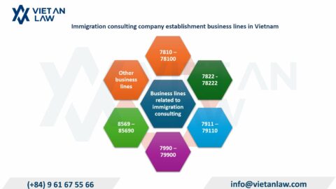 Immigration consulting company establishment business lines in Vietnam