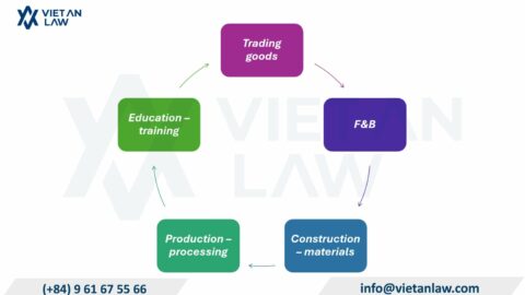 Establishing a company in Binh Tan Ward, Ho Chi Minh City