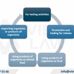 Set up genetically modified product business company in Vietnam