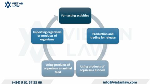 Set up genetically modified product business company in Vietnam