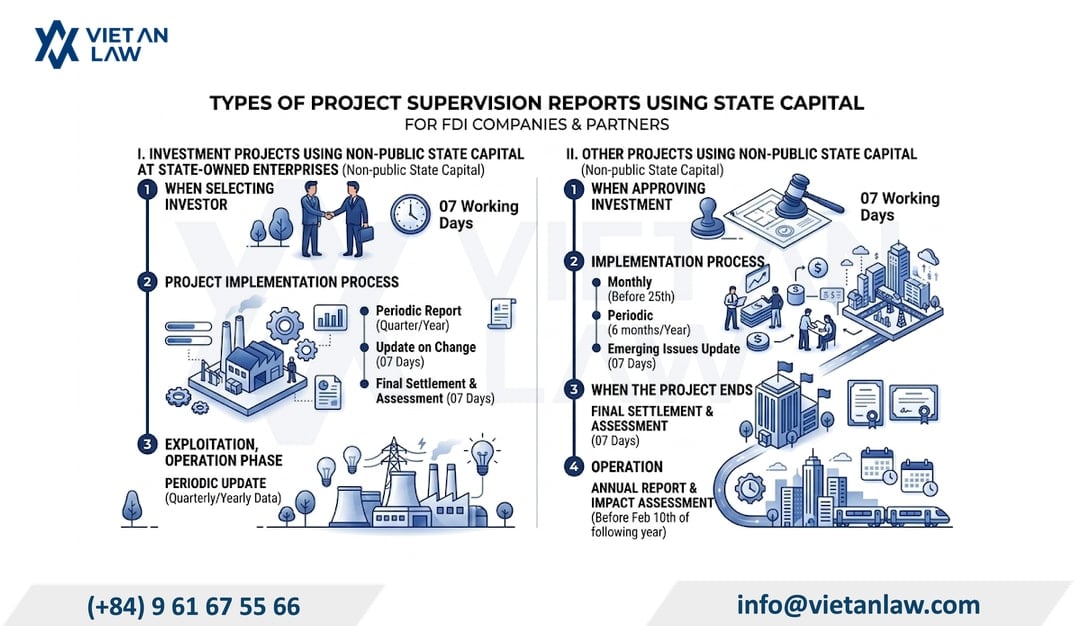 Types of monitoring reports for FDI companies Types of monitoring reports for FDI companies