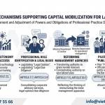 Capital Contributing Members in Law Firms in Vietnam