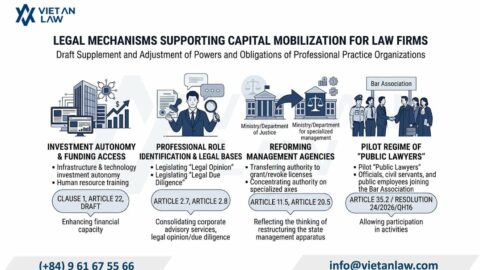 Capital Contributing Members in Law Firms in Vietnam