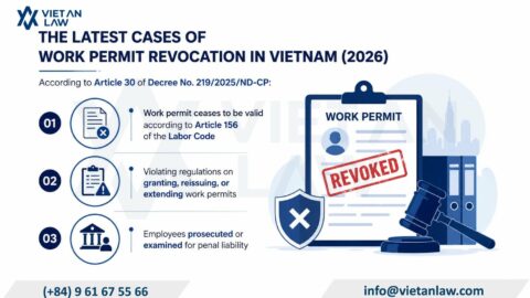 Cases of Work Permit Revocation in Vietnam (2026)