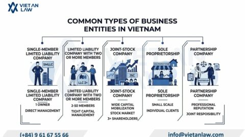 Full-Service Company Formation in Vietnam