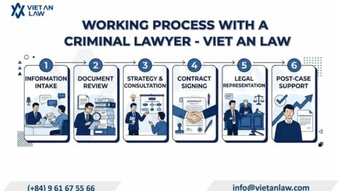 Criminal Lawyer in Vietnam